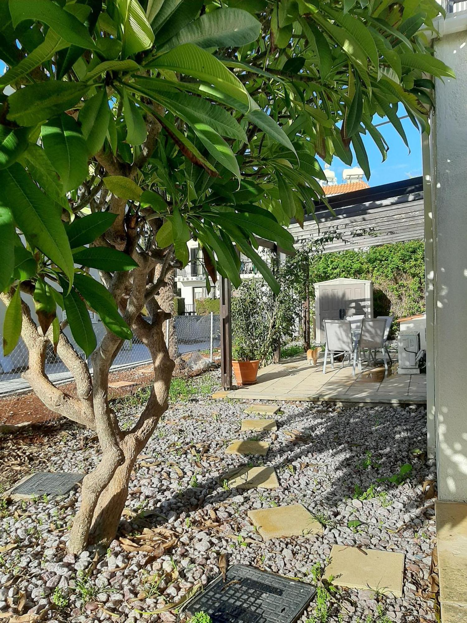 شقة H&O Royal Townhouse In Center بافوس المظهر الخارجي الصورة